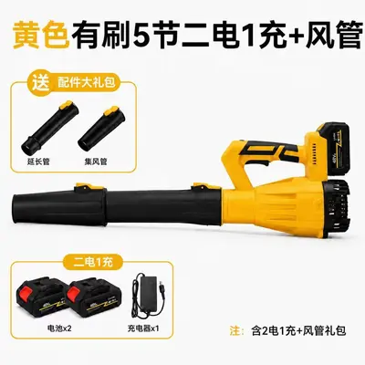 Lithium Battery Air Blower, Multi-Speed, for Dust and Snow Removal - 9