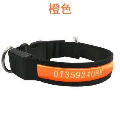 LED Light-Up Dog Collar, USB Rechargeable, Laser Engraved - 10