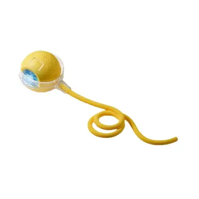 Electric Automatic Dog Walking Ball, Chew-Resistant Smart Dog Toy - 10