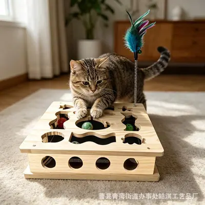 Solid Wood Maze Cat Toy, Square Self-Play Puzzle Box - 12