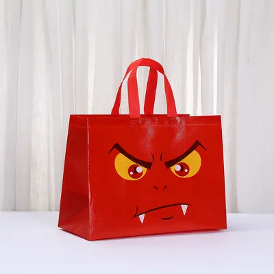 Printed Laminated Gift Bag 3D Shopping Bag Non-Woven - 9