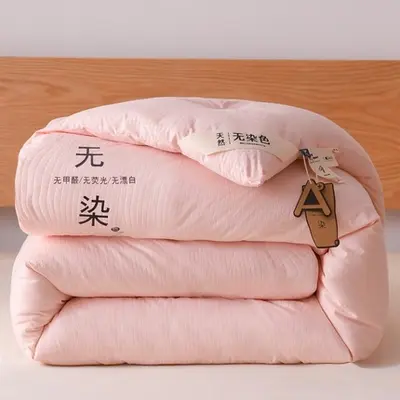 Class A Comforter Soybean Fiber Quilt Spring Autumn 2-in-1 Mother-Child Duvet Student Dormitory Single Person Thickened Winter Quilt Core - 13