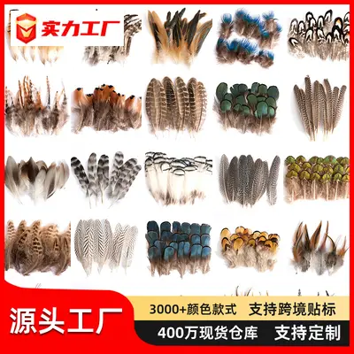 Natural Colored Pheasant Feathers, 80 pcs, Decorative DIY Jewelry Material
