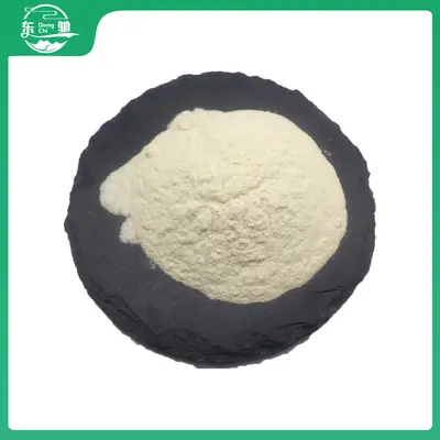 Rice Protein Powder, Hydrolyzed Protein 500g - 2