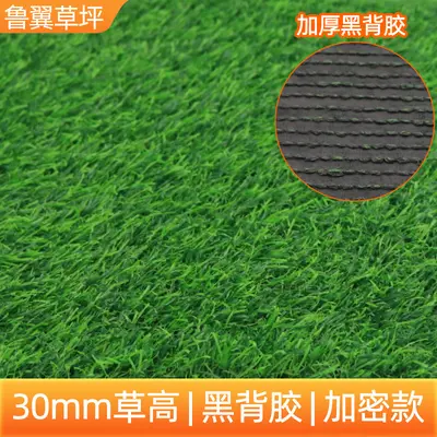 Kunstrasen für den Außenbereich, Kunststoff-Grasmatte - 10