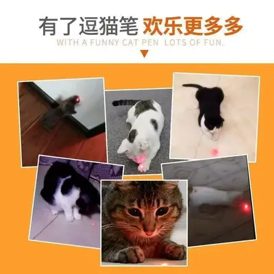 Lazerli Kedi Oyuncağı, Kızılötesi İnteraktif Taşınabilir Kedi Teaser