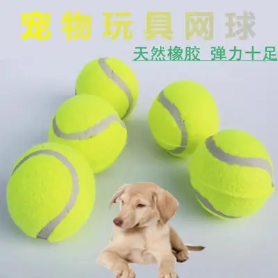 Dog Ball Toy, Chew-Resistant Rubber Ball for Training - 5