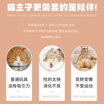 Solid Wood Rotating Cat Toy and Pet Treat Dispensing Ball, Roly-Poly