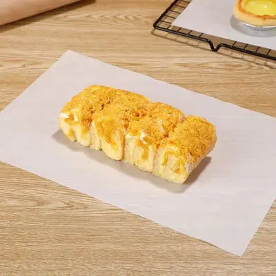 Yağlı kağıt pişirme yüksek sıcaklığa dayanıklı silikon yağlı kağıt gıda sınıfı yağ emici kağıt dikdörtgen barbekü yapışmaz fırın pişirme tavası tepsisi kağıdı