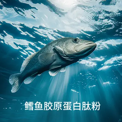 Kyoto Renen Hall Small Molecule Cod Adult Collagen Peptide Protein Powder Special Dietary Nutritional Supplement High Protein - 5