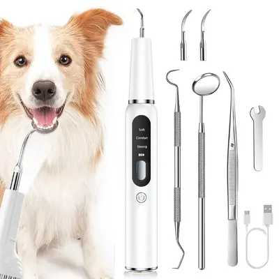 Köpek diş taşı sökücü ultrasonik diş temizleyici, evcil hayvan