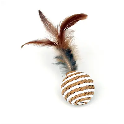 Feather Sisal Cat Toy Ball with Rope and Paper Balls for Self-Play - 5