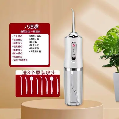 Electric Water Flosser, Deep Cleaning, Portable Home Use - 12