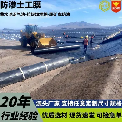 1 mm HDPE Geomembrane Liner for Biogas Tanks and Landfills - 8