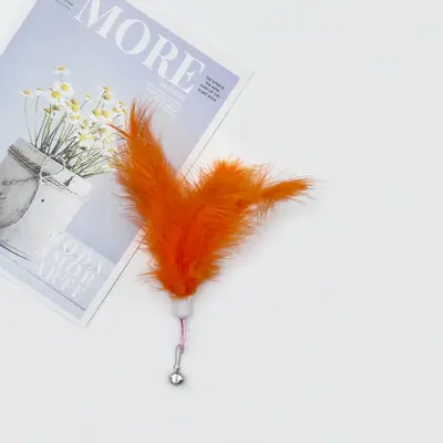 Feather Cat Teaser Wand Toy with Replacement Heads and Plush Pet Toy - 8