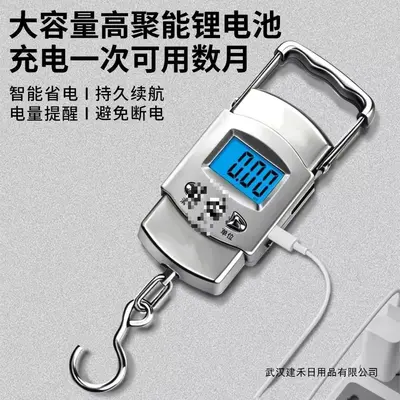 Mini electronic scale 98kg, hanging hook type