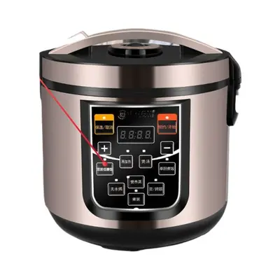 Automatic Smart Rice Cooker with Draining Basket, Stainless Steel Pot - 6
