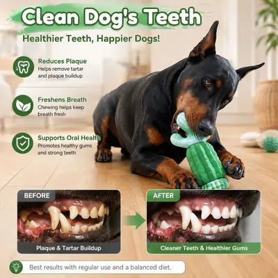 Squeaky Cactus Dog Toy, Durable Chew Molar Stick