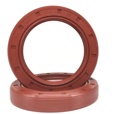 TG4/TC/SC Nitrile and Fluororubber Skeleton Oil Seal, Non-Standard