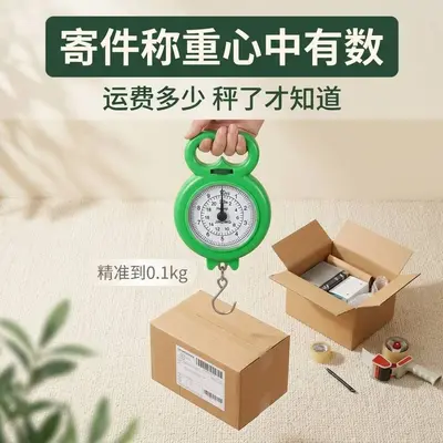 便携式家用手提秤旅游弹簧秤教学生秤购物小秤快递秤手提秤