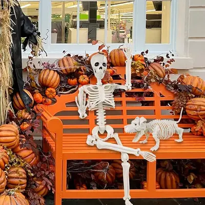 Halloween Skeleton Figure, Realistic Human Skeleton Walking Dog, Party and Yard Decoration