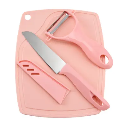 Fruit knife four-piece set, mini peeler, stainless steel - 10