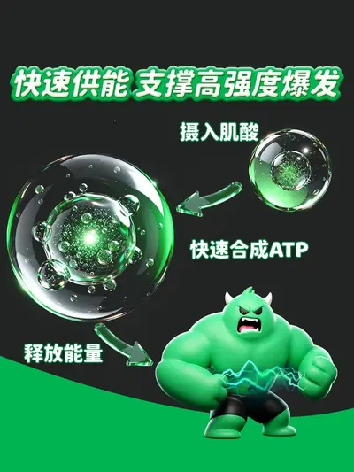Kreatin-Gummis, 99,99 % reines Kreatin-Monohydrat - 3