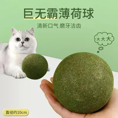 10cm Oversized Catnip Ball Chew Toy for Cats - 1