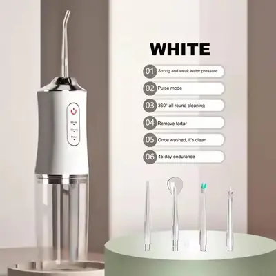 Portable electric oral irrigator, tartar remover