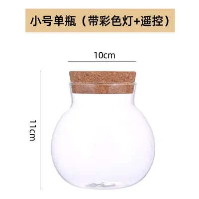 High Borosilicate Glass Hydroponic Plant Bottle, Desktop Vase and Betta Tank - 13