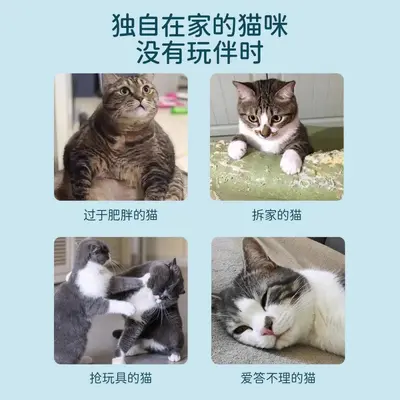 猫咪逗猫棒猫玩具质量好的小猫自嗨解闷长杆羽毛替换头吸盘款