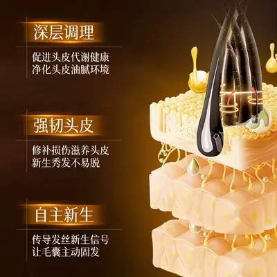 ZKZU防脱固发滋养精华液植萃侧伯叶深层改善头油掉发液态精华批发