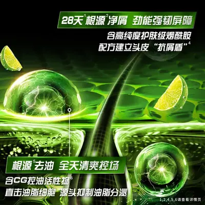 Qingyang Men's Oil-Control Shampoo 500g - 3