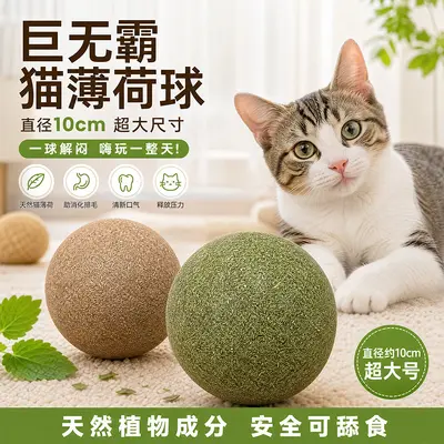 猫薄荷球超大巨无霸猫玩具自嗨解闷神器逗猫木天蓼磨牙棒猫咪用品 - 2