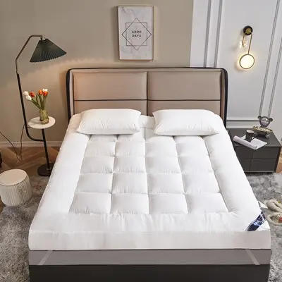 Dormitory Thick Mattress Non-Slip Pad 3D Mattress Double Futon Thick Tatami Mattress Soft Mattress Wholesale - 7