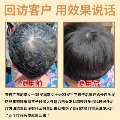 Shampoo mit schwarzem Lingzhi und Fo-Ti (Heshouwu) gegen graues Haar, pflanzlich-kräutergestützt, reguliert Talg, gegen Schuppen, reinigt und pflegt, Haarfärbe-Shampoo für dunkleres Haar