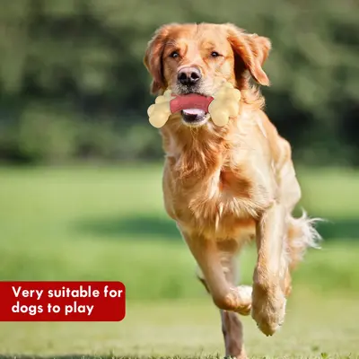 Double Bone Chew Toy for Dogs, Bacon Flavor, Durable