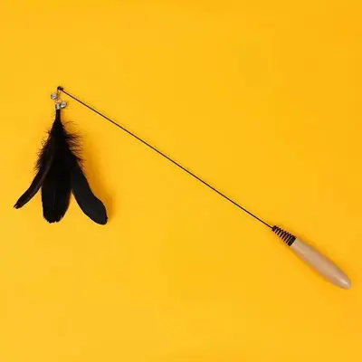 CFA Cat Teaser Wand, Long Pole with Feathers, Chew-Resistant, Replaceable Head - 9