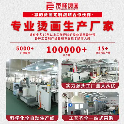 Heat Transfer Label, High-Elasticity Silicone, Matte, Custom Logo for Clothing