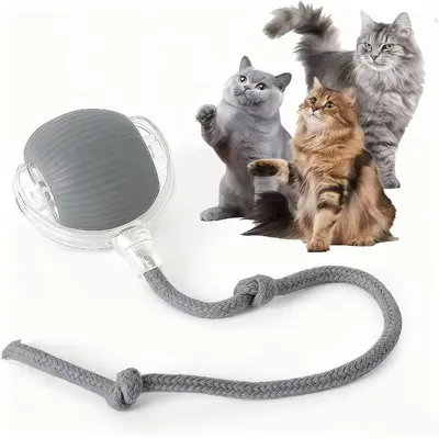 Smart Interactive Cat Teaser Ball, Boredom Relief - 10