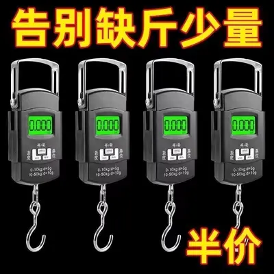 Portable digital scale, high precision, with hook