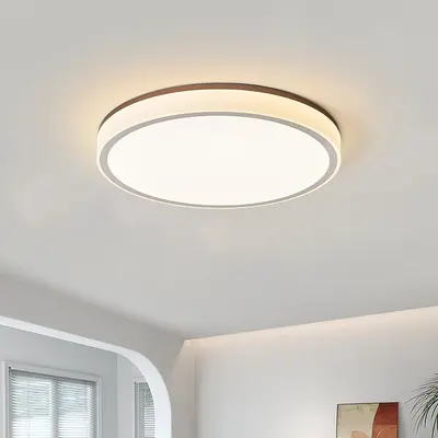 Yatak Odası Tavan Lambası Modern Minimalist Yuvarlak Nordic Aydınlatma