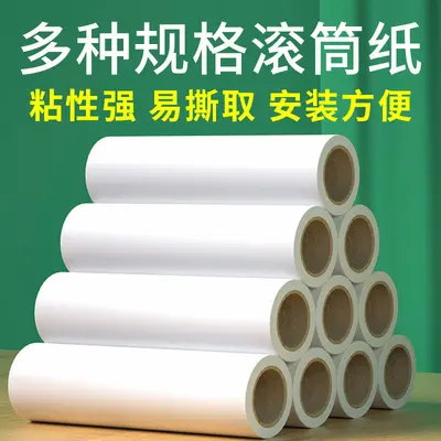 Tear-off paper lint remover, refill cores