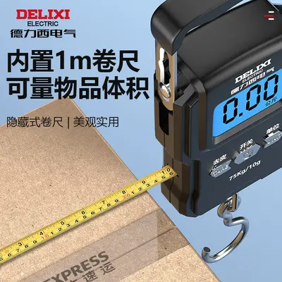 Delixi portable electronic scale