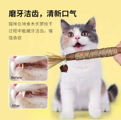 Silvervine Cat Chew Stick with Catnip Ball, Durable Teaser Wand - 5