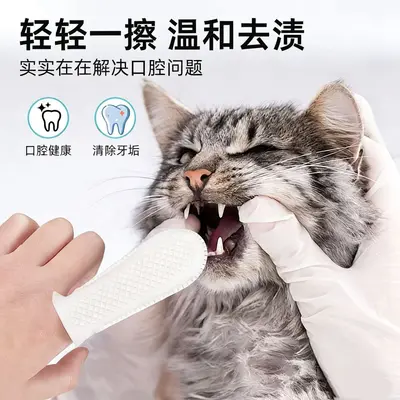 宠物洁牙清洁牙齿指套点点滴塑狗狗结石除口臭猫咪口腔洗牙刷厂家
