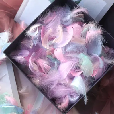 Colored Small Goose Feathers as Gift Box Filling Material - 7