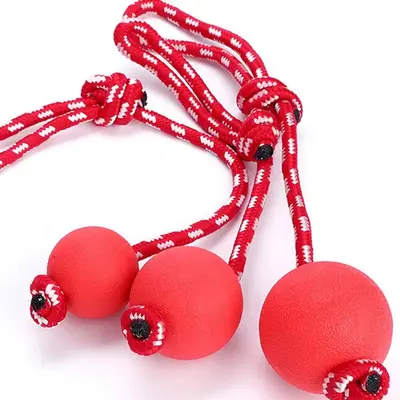 Dog Toy TPR Rubber Bouncing Ball with Rope, Bite-Resistant Dental Training Pet Toy - 5