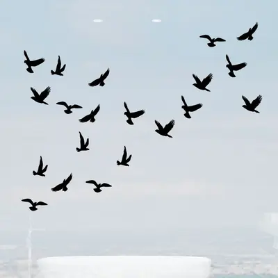 Seagull Bird Wall Sticker Set, Removable Electrostatic Film, PH1238