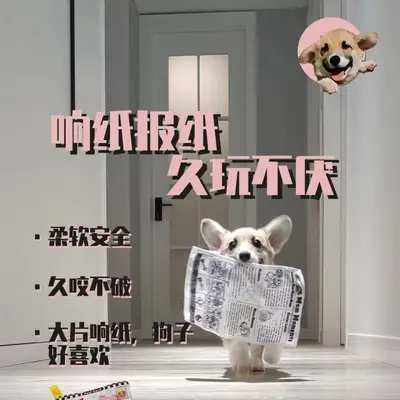 Dog Squeaky Crinkle Paper Chew Toy for Small and Medium Dogs - 4